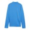 PUMA teamGOAL Training 1/4 Zip Sweatshirt D F02 - hellblau