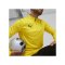 PUMA teamGOAL Training 1/4 Zip Sweatshirt Gelb F07 - gelb