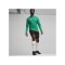 PUMA teamGOAL Training 1/4 Zip Sweatshirt Grün F05 - gruen
