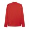PUMA teamGOAL Training 1/4 Zip Sweatshirt Rot F01 - rot