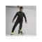 PUMA teamGOAL Training Jogginghose Schwarz F03 - schwarz