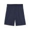 PUMA teamGOAL Training Shorts Blau F06 - dunkelblau