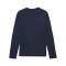 PUMA teamGOAL Training Sweatshirt Blau F06 - dunkelblau