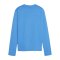 PUMA teamGOAL Training Sweatshirt Damen Blau F01 - hellblau