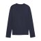 PUMA teamGOAL Training Sweatshirt Damen Blau F06 - dunkelblau