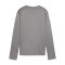 PUMA teamGOAL Training Sweatshirt Damen Grau F13 - grau