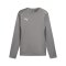 PUMA teamGOAL Training Sweatshirt Grau F13 - grau
