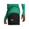 PUMA teamGOAL Training Sweatshirt Grün F05 - gruen