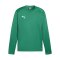 PUMA teamGOAL Training Sweatshirt Grün F05 - gruen