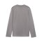 PUMA teamGOAL Training Sweatshirt Kids Grau F13 - grau