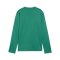 PUMA teamGOAL Training Sweatshirt Kids Grün F05 - gruen
