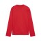 PUMA teamGOAL Training Sweatshirt Kids Rot F01 - rot