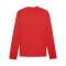 PUMA teamGOAL Training Sweatshirt Rot F01 - rot