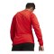 PUMA teamGOAL Training Sweatshirt Rot F01 - rot