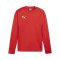 PUMA teamGOAL Training Sweatshirt Rot F01 - rot