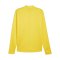PUMA teamGOAL Trainingsjacke Gelb F07 - gelb