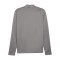 PUMA teamGOAL Trainingsjacke Grau F13 - grau