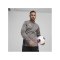 PUMA teamGOAL Trainingsjacke Grau F13 - grau