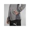 PUMA teamGOAL Trainingsjacke Grau F13 - grau