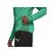 PUMA teamGOAL Trainingsjacke Grün F05 - gruen
