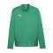 PUMA teamGOAL Trainingsjacke Grün F05 - gruen
