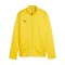 PUMA teamGOAL Trainingsjacke Kids Gelb F07 - gelb