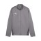 PUMA teamGOAL Trainingsjacke Kids Grau F13 - grau