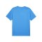 PUMA teamGOAL Trikot Blau F02 - hellblau
