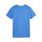 PUMA teamGOAL Trikot Damen Blau F02 - hellblau