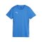 PUMA teamGOAL Trikot Damen Blau F02 - hellblau