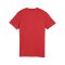 PUMA teamGOAL Trikot Damen Rot F01 - rot