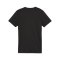 PUMA teamGOAL Trikot Damen Schwarz F03 - schwarz