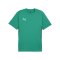 PUMA teamGOAL Trikot Grün F05 - gruen