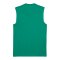 PUMA TeamGoal Trikot Grün F05 - gruen
