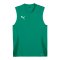 PUMA TeamGoal Trikot Grün F05 - gruen