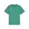 PUMA teamGOAL Trikot Kids Grün F05 - gruen