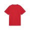 PUMA teamGOAL Trikot Kids Rot F01 - rot