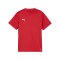 PUMA teamGOAL Trikot Kids Rot F01 - rot
