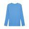 PUMA teamGOAL Trikot Langarm Blau Weiss F02 - blau