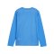 PUMA teamGOAL Trikot Langarm Kids Blau Weiss F02 - blau