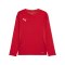 PUMA teamGOAL Trikot Langarm Kids Rot Weiss F01 - rot