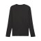 PUMA teamGOAL Trikot Langarm Schwarz Weiss F03 - schwarz