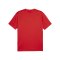 PUMA teamGOAL Trikot Rot F01 - rot