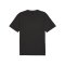 PUMA teamGOAL Trikot Schwarz F03 - schwarz