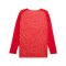 PUMA Teamjaws Graphic Ls Shooting Hemd Rot F03 - rot