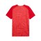 PUMA Teamjaws Graphic Ss Shooting Hemd Rot F03 - rot