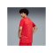 PUMA Teamjaws Graphic Ss Shooting Hemd Rot F03 - rot