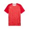 PUMA Teamjaws Graphic Ss Shooting Hemd Rot F03 - rot