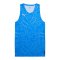 PUMA Teamjaws Graphic Trikot Blau F07 - blau