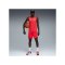 PUMA Teamjaws Graphic Trikot Rot F03 - rot